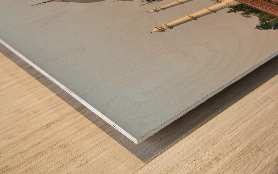 The Taj Mahal Collection 8 Wood print