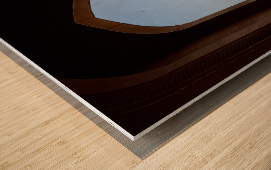 The Taj Mahal Collection 14 Wood print