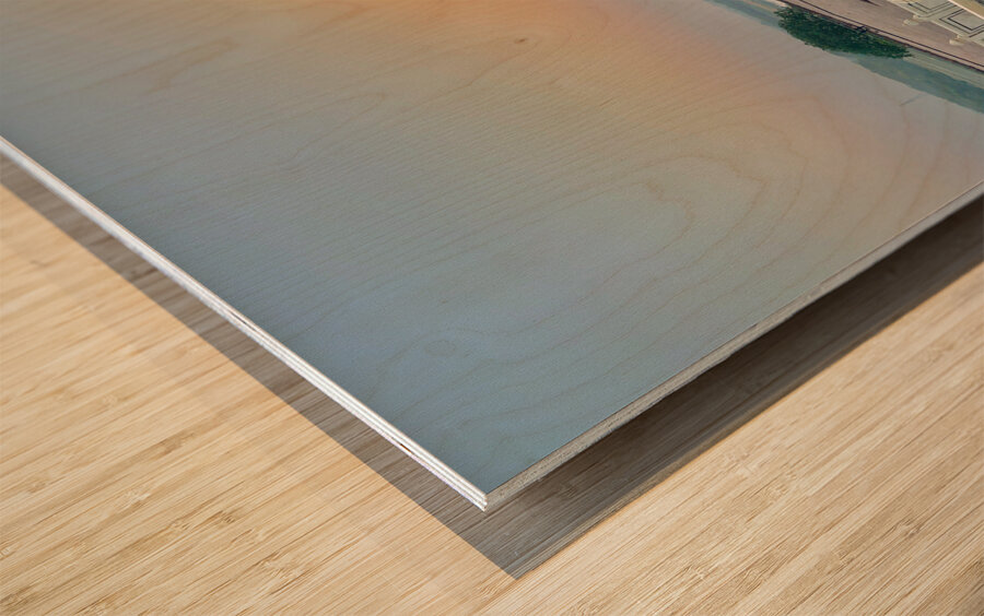 The Taj Mahal Collection 22 Wood print