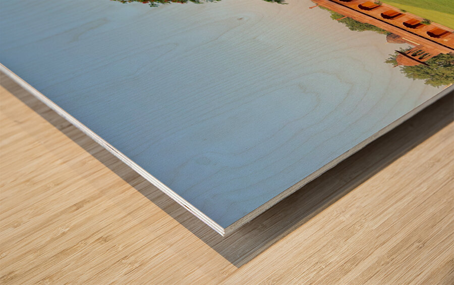 The Taj Mahal Collection 29 Wood print