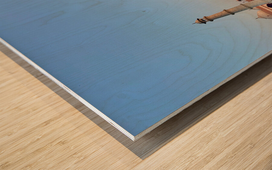 The Taj Mahal Collection 25 Wood print