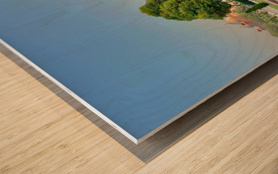 The Taj Mahal Collection 26 Wood print