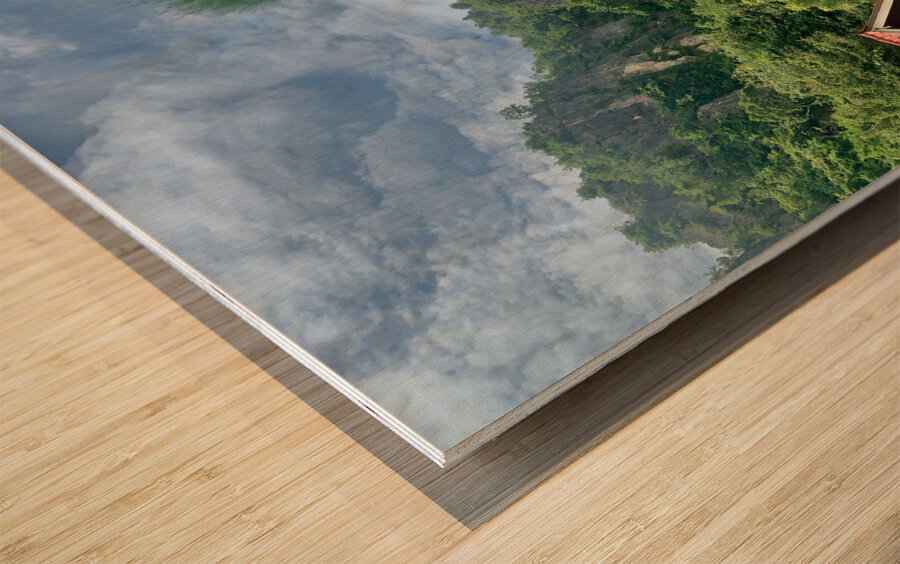 The Treehouse Impression sur bois