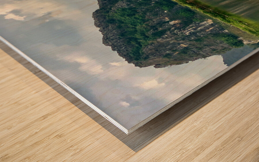 Vietnam Reflections Wood print