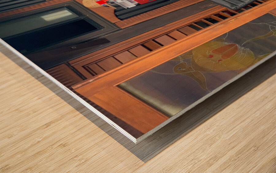 The Red Fridge and the Dog 1 Wood print