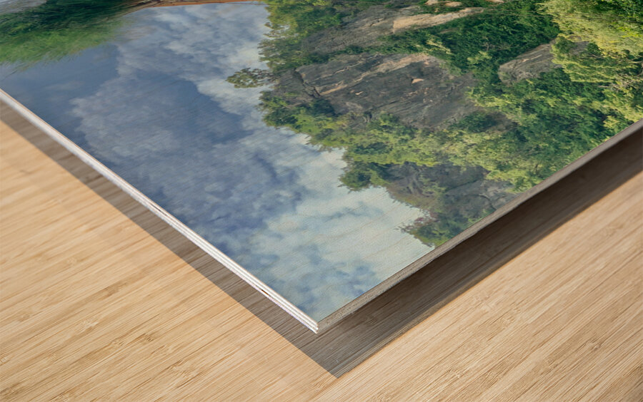 The Treehouse 2 Wood print