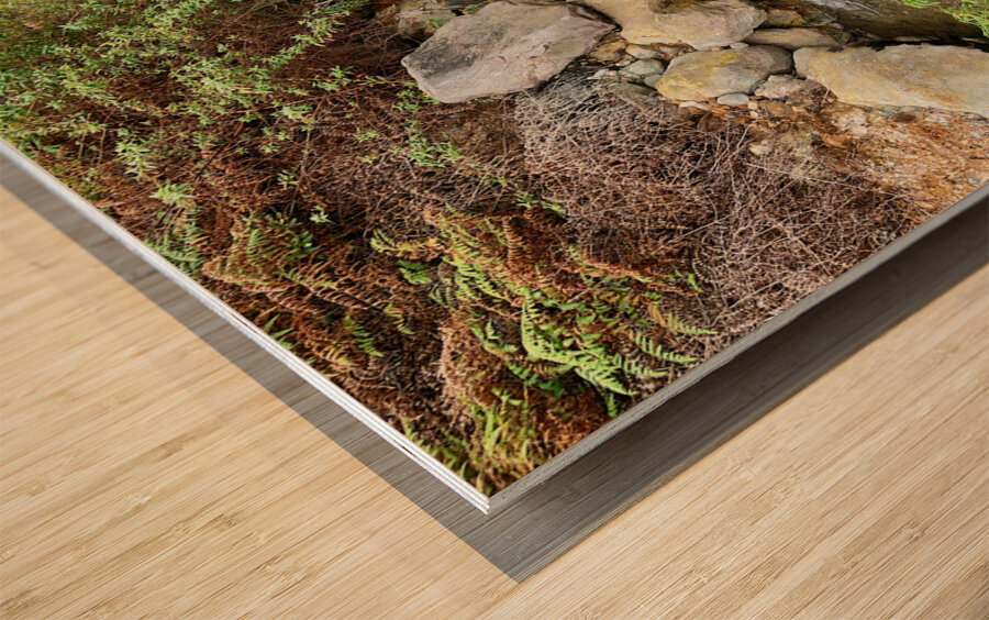 Cibuni Rengganis Crater Java Indonesia 2 Wood print