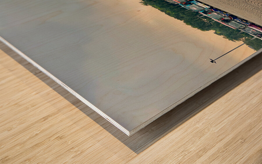 Bus Line Jakarta Wood print