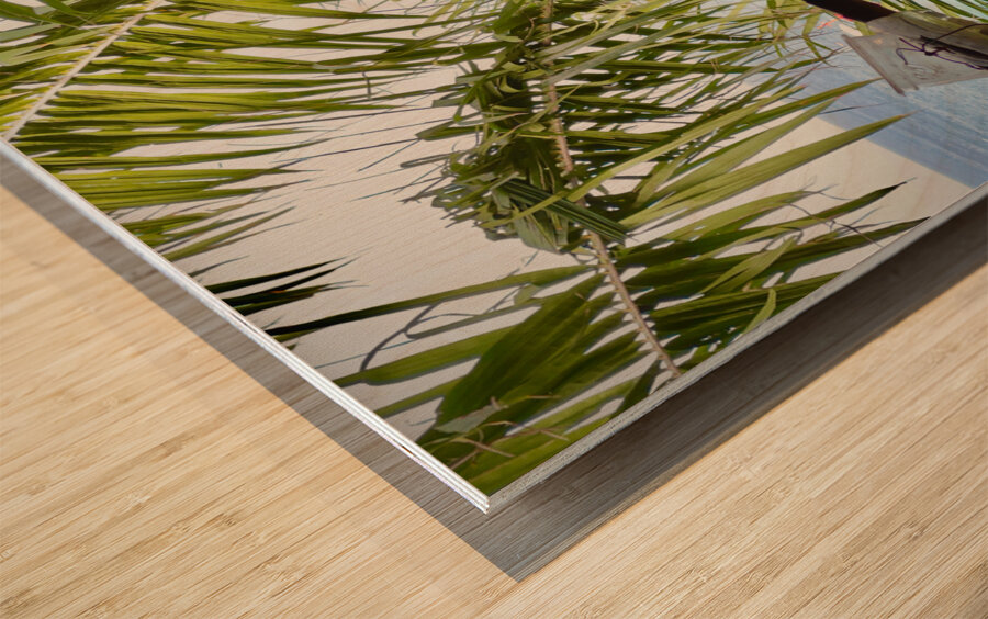 Bird Couple Koh Tao Thailand Wood print