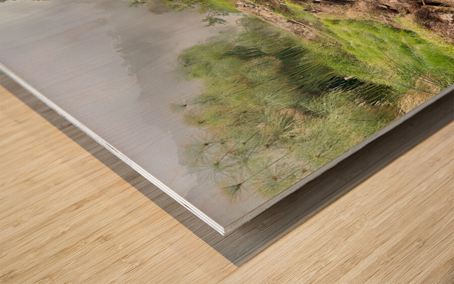 Cibuni Rengganis Crater Java Indonesia 8 Wood print