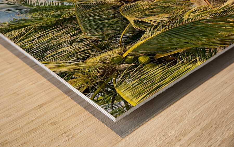 From the Balcony in Miri 2 Wood print