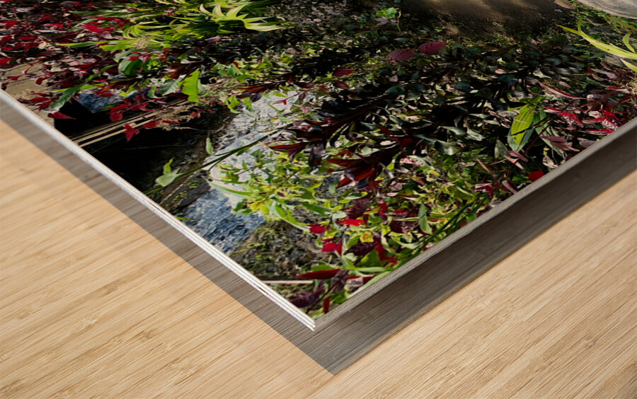 Face in the Ground Munduk Bali Wood print