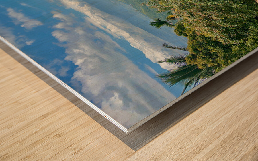 From the Rooftop Munduk Bali Wood print