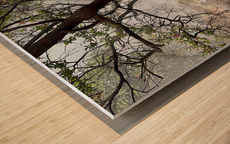 Cibuni Rengganis Crater Java Indonesia 7 Wood print