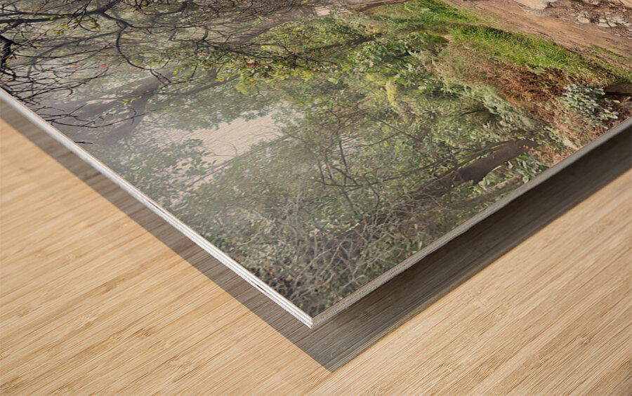 Cibuni Rengganis Crater Java Indonesia 5 Wood print