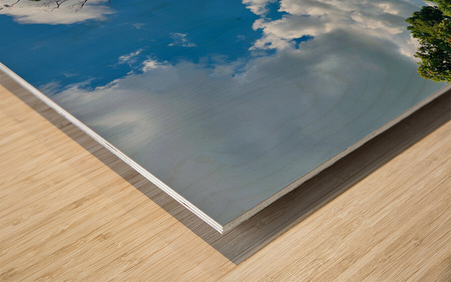 Kabili Sepilok Forest Reserve 1 Wood print