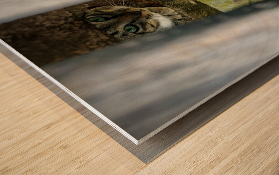 Kampong Ayer Floating Village Brunei 5 Impression sur bois