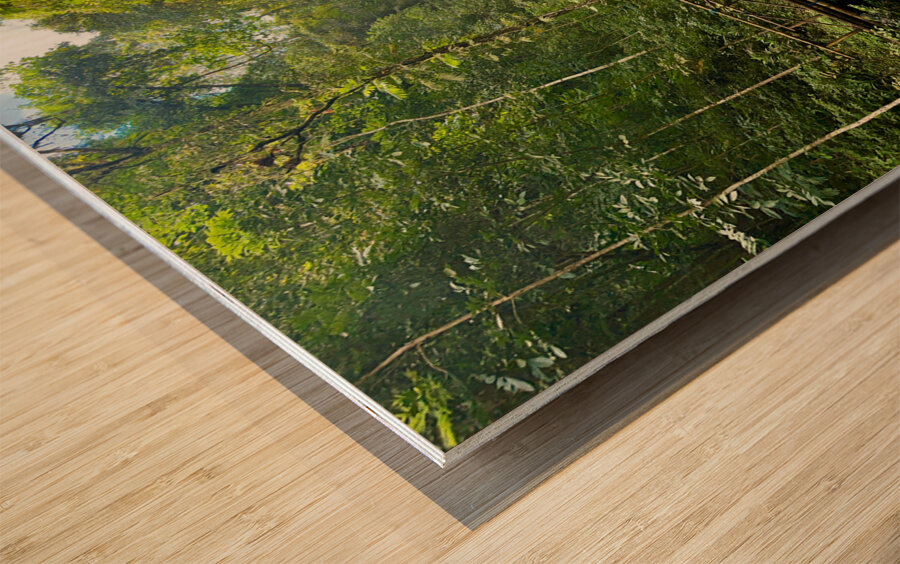 Munduk Waterfalls Bali 4 Wood print