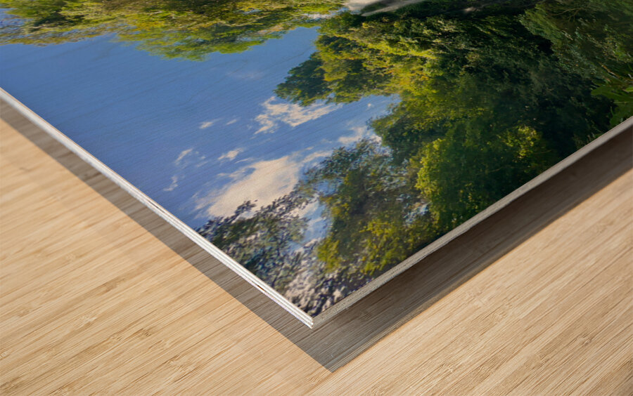 Munduk Waterfalls Bali 5 Wood print