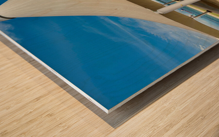 Marine Museum Labuan Borneo 2 Wood print