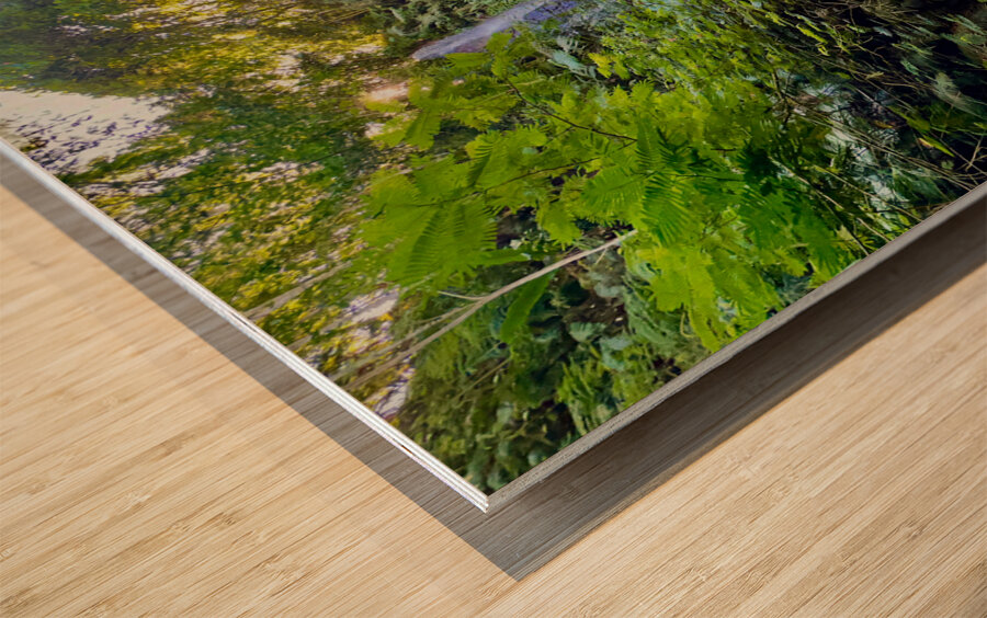 Munduk Waterfalls Bali 1 Wood print