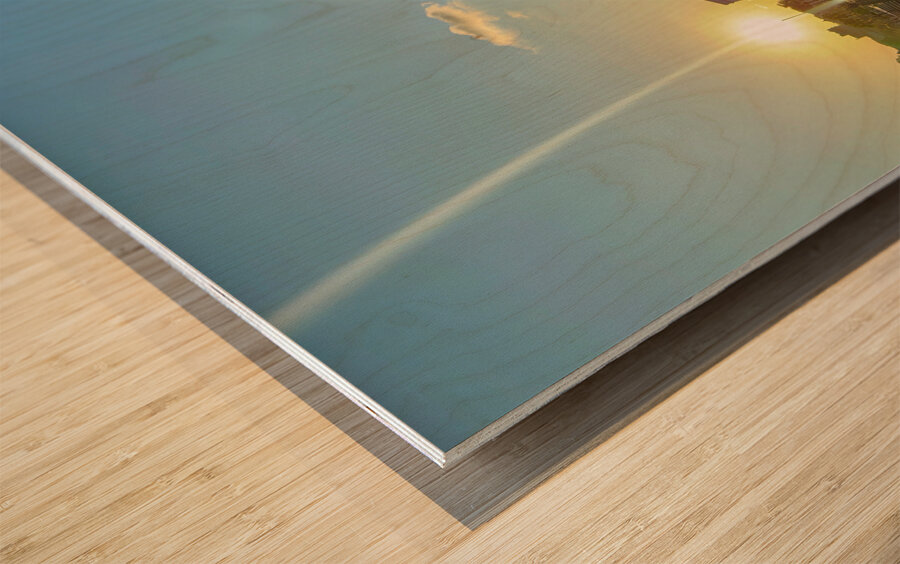 Omar Ali Saifuddien Mosque Collection Brunei 4 Wood print