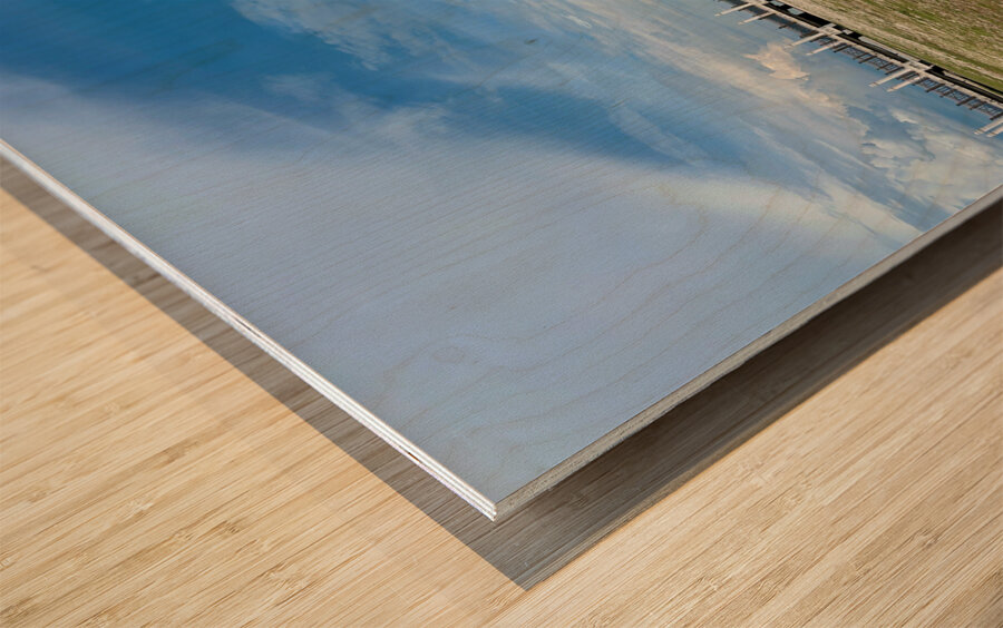 Marine Museum Labuan Borneo 3 Wood print