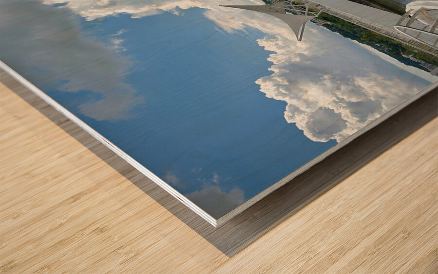 Omar Ali Saifuddien Mosque Collection Brunei 8 Wood print