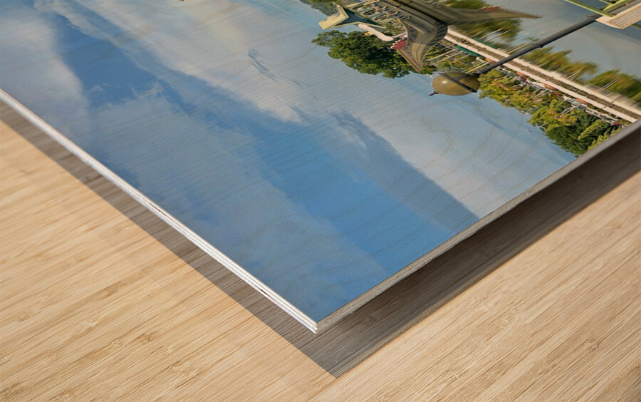 Omar Ali Saifuddien Mosque Collection Brunei 12 Wood print