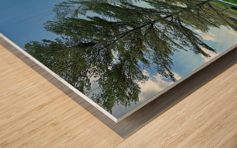 Park in Bandar Seri Begawan Brunei Wood print