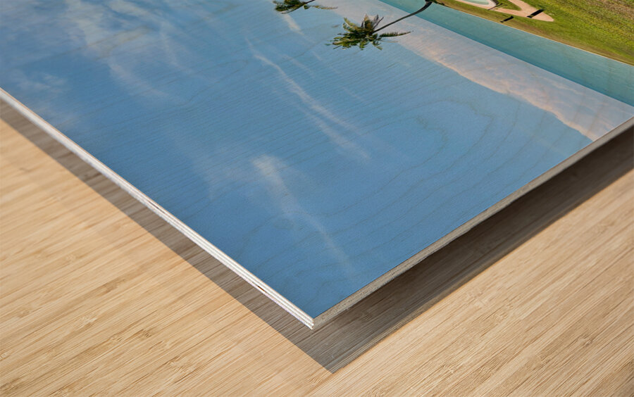 The Empire Brunei 8 Wood print