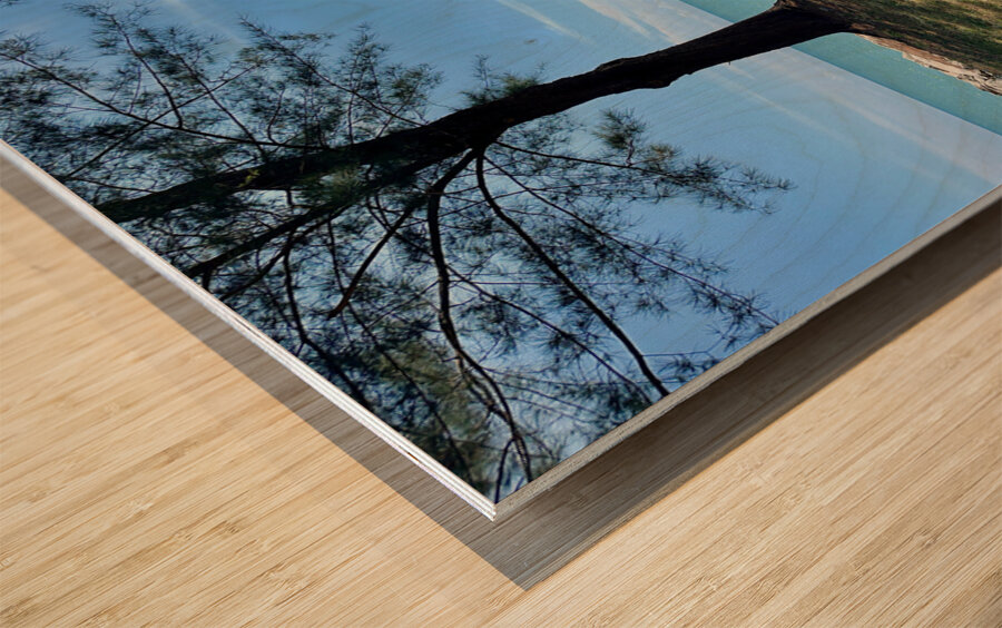 The Empire Brunei 10 Wood print