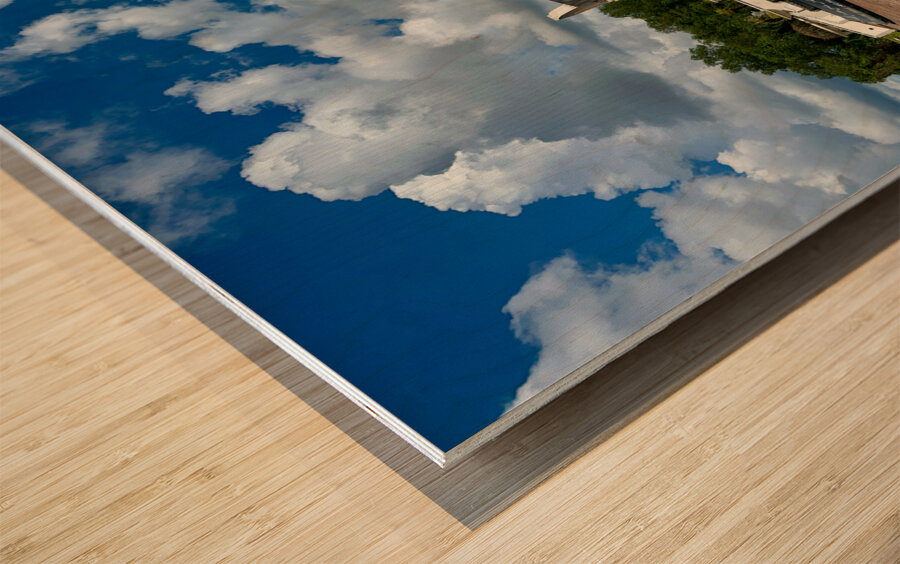 Taman Jubli Perak Monument in Bandar Seri Begawan Brunei Wood print