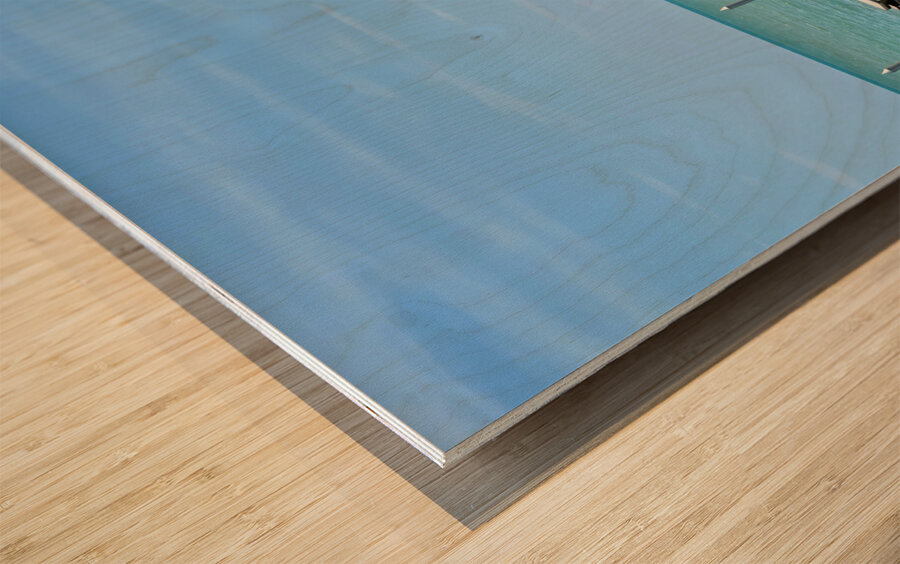 The Empire Brunei 9 Wood print