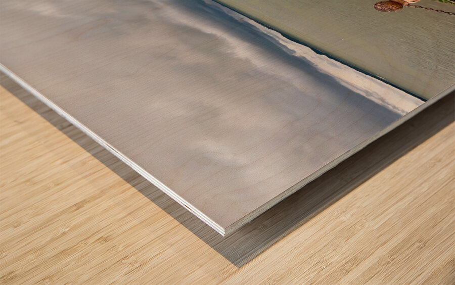 The storm is coming in Sandakan Wood print