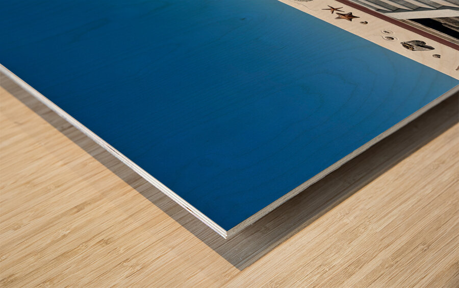 Boardwalk Jeju South Korea 1 Wood print