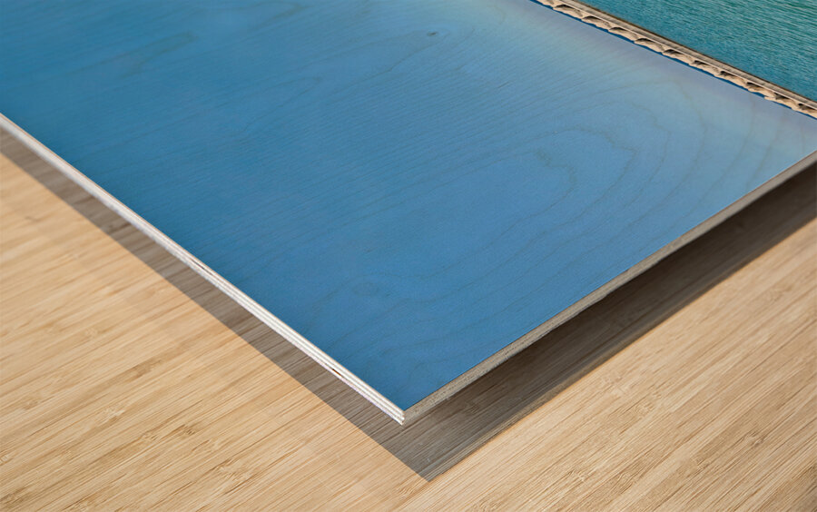 Boardwalk Jeju South Korea 3 Wood print