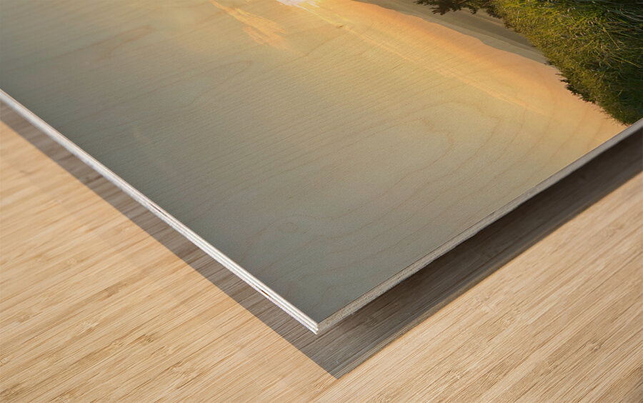 Beautiful Sunrise Jeju South Korea 1 Wood print