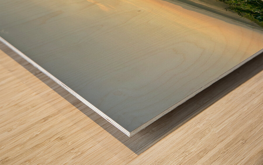 Beautiful Sunrise Jeju South Korea 2 Wood print