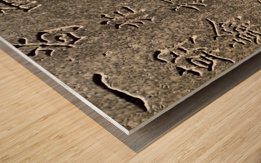 Ancient Stone Carvings Seoul South Korea Wood print