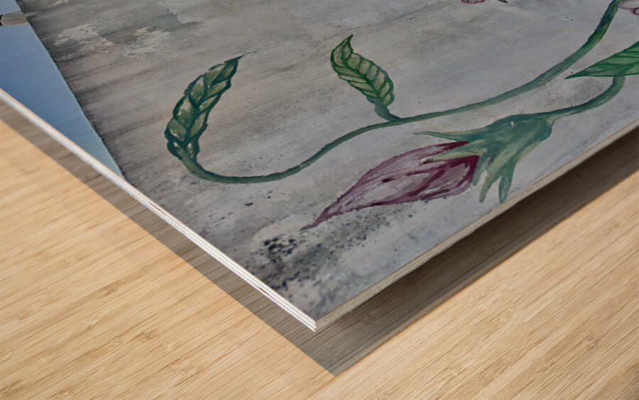 Ihwa Mural Village Seoul Korea 6 Wood print