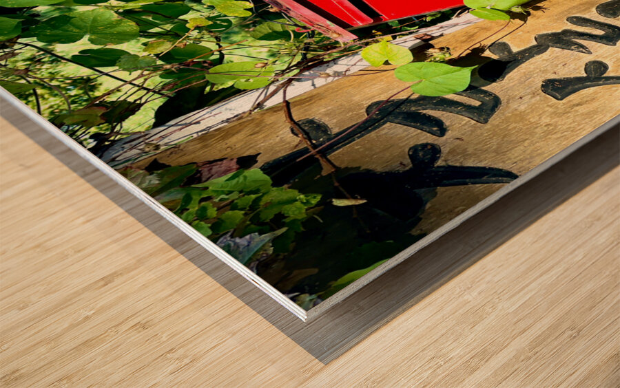 Ihwa Mural Village Seoul Korea 11 Wood print