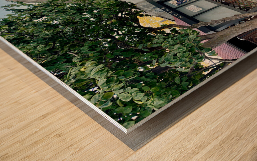 Ihwa Mural Village Seoul Korea 1 Wood print