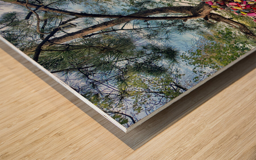 Namsan Tower Seoul South Korea 2 Wood print