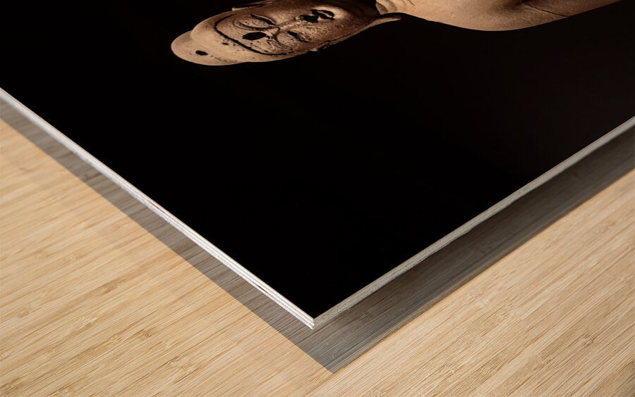 National Museum of Korea 11 Wood print