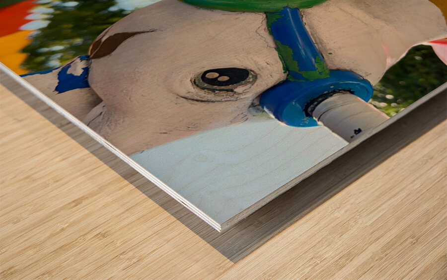 Jumping Horses for Kids Seoul South Korea Wood print