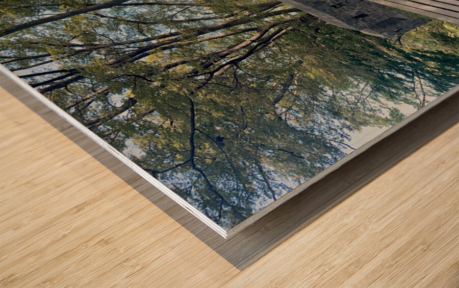 Namsan Tower Seoul South Korea 5 Wood print