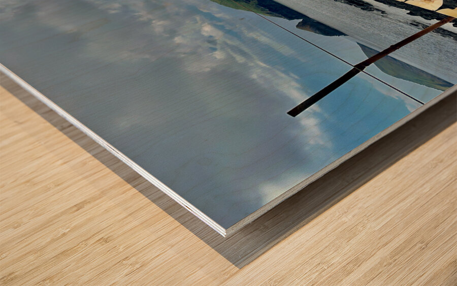 Squids on the Line Jeju South Korea Wood print