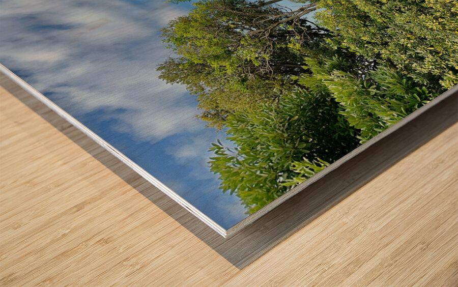 The Big Rock Jeju South Korea Wood print