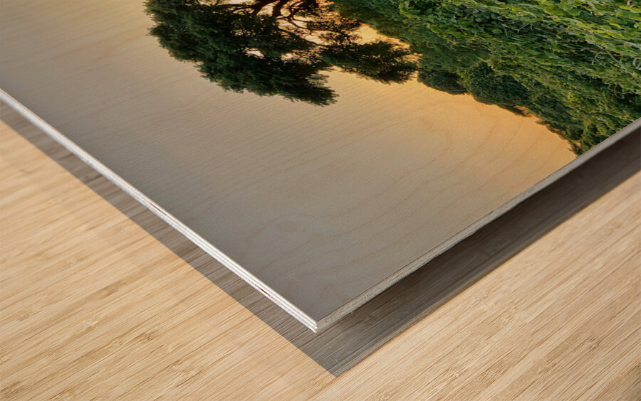 The Sunset Behind Jeju South Korea Wood print